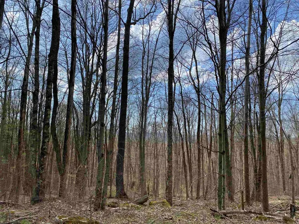 101 Fern Ln, Davis, WV 26260