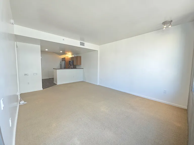 321 10th Ave #804 — Photo 20
