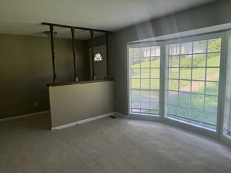Living room- New Carpet