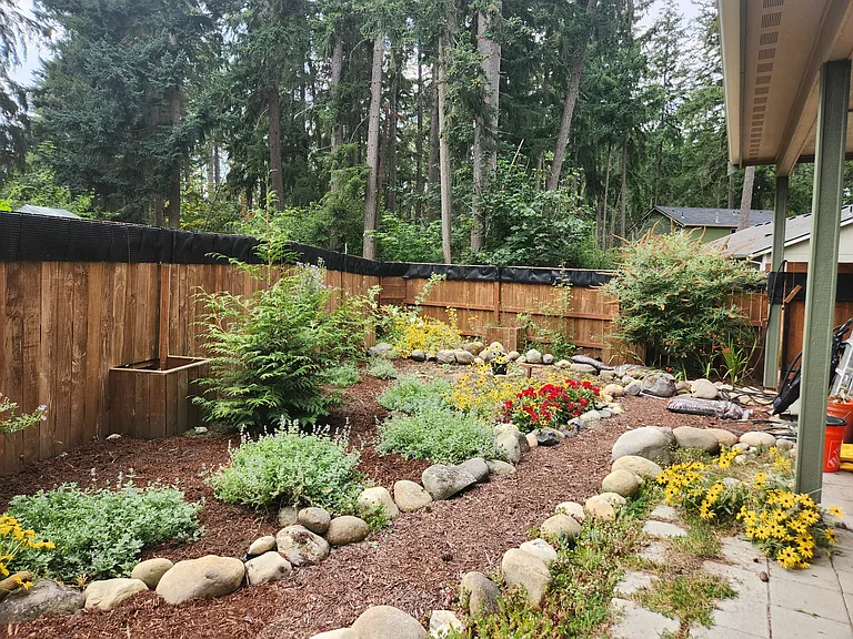 Easy to maintain back yard