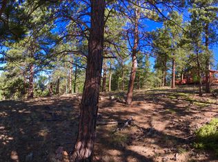 185 Taylor St, Bailey, CO 80421