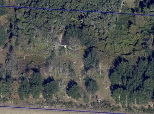 16213 Clarence Lee Rd, Groveland, FL 34736