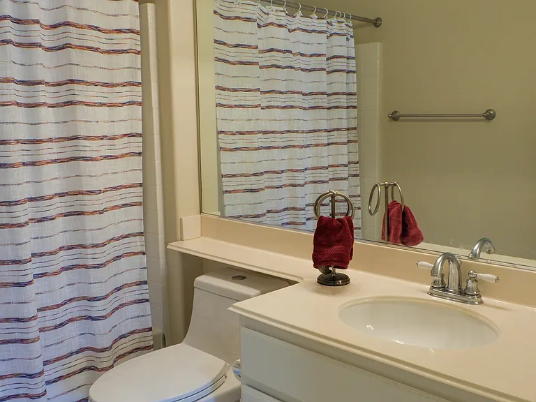 Full tub and shower