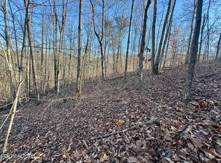 Gibson Hollow Rd, Sevierville, TN 37876