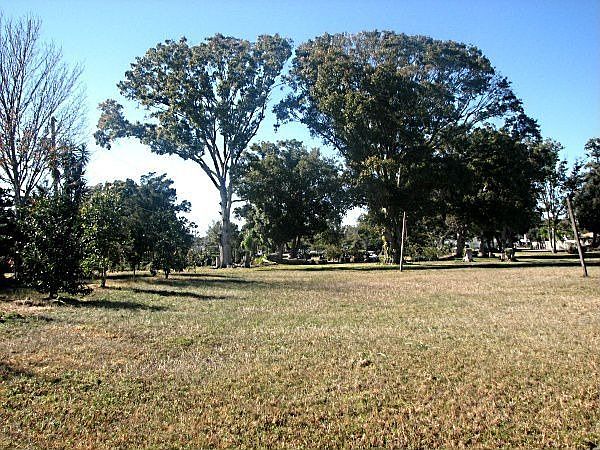 1st image of 91 Seminola Blvd