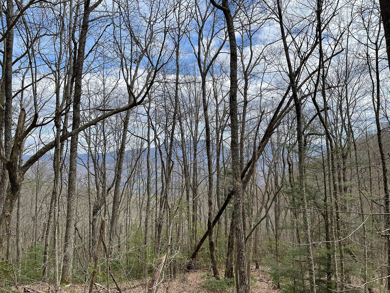 0 Stone Mountain Rd, Trade, TN 37691 MLS 9949711 Zillow