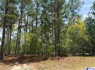 Sandbar Ct, Dillon, SC 29536