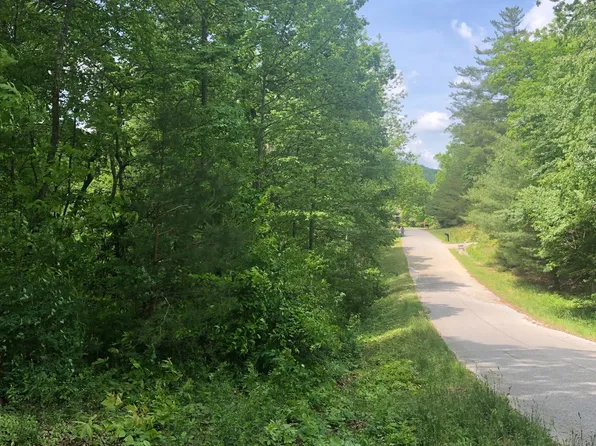 LOT 20 Fields Branch Ln, Blairsville, GA 30512