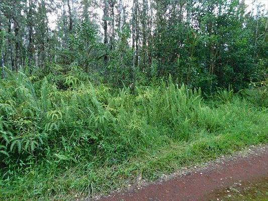 4th image of Kapiolani St Lot 330