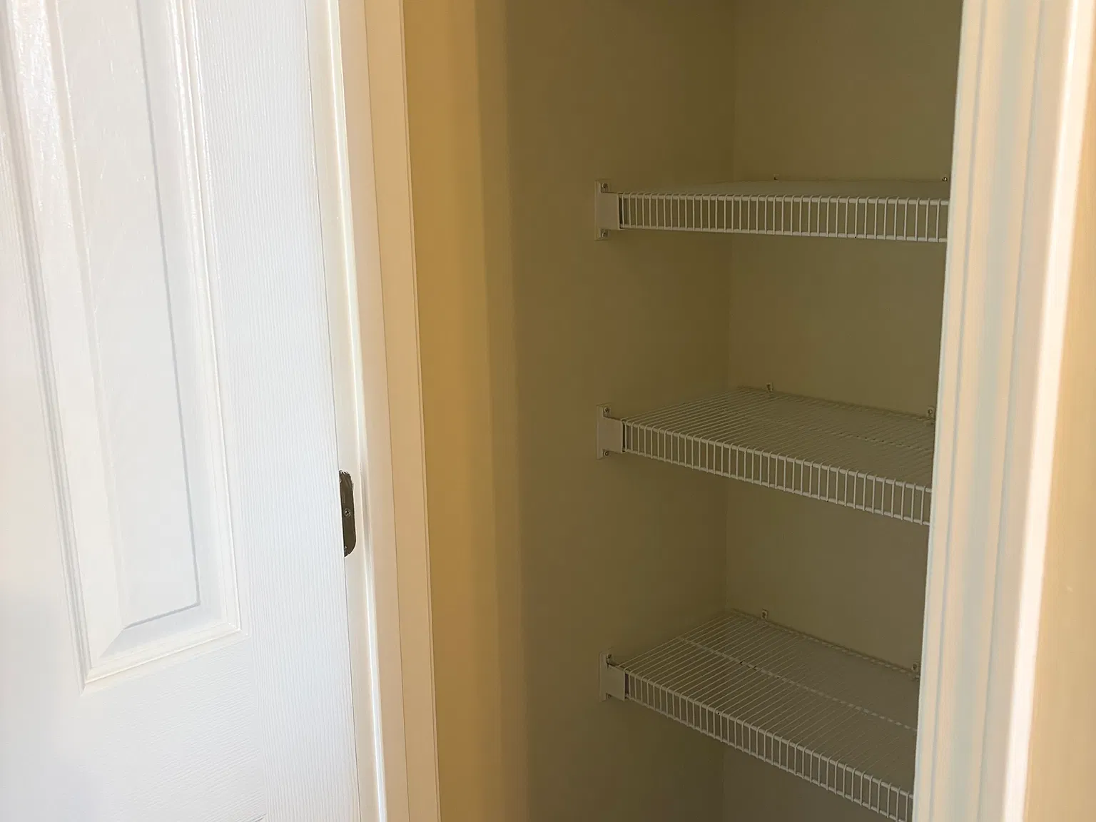 2 bed, 1000 sqft, $1,500 — Photo 4