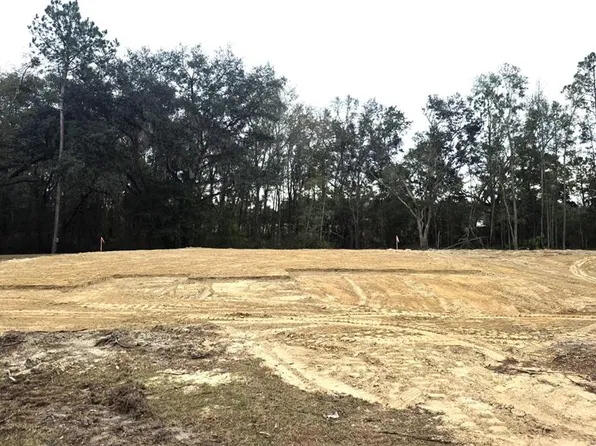 525 SW BELLFLOWER DRIVE, LAKE CITY, FL 32024