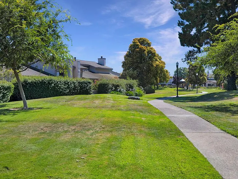 976 Pizarro Ln — Photo 60