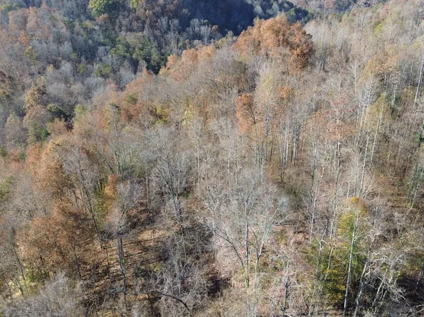 3050 Copper Ridge Rd, Thorn Hill, TN 37881