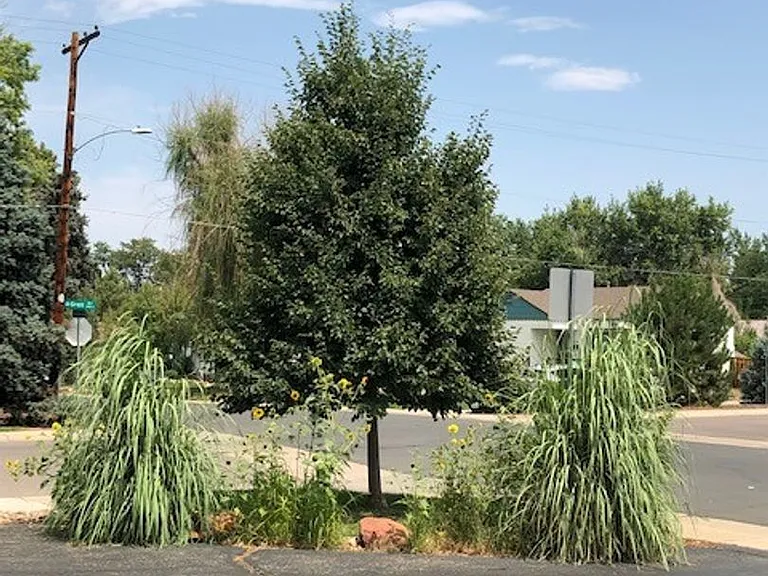 3401 S Marion St — Photo 20