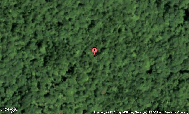 Map View