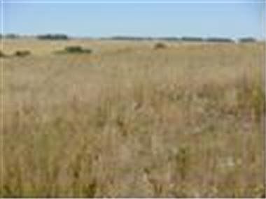 4th image of 4703 County Road 114