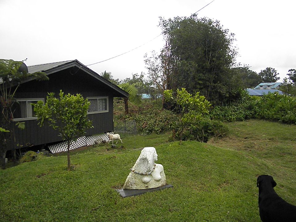 1st image of 18-4114 Haumalu St.