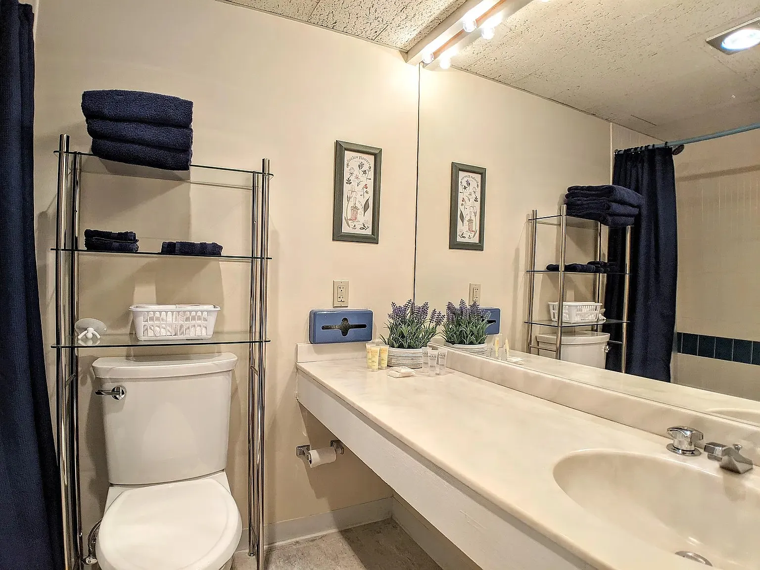Studio, 320 sqft, $1,100 — Photo 3