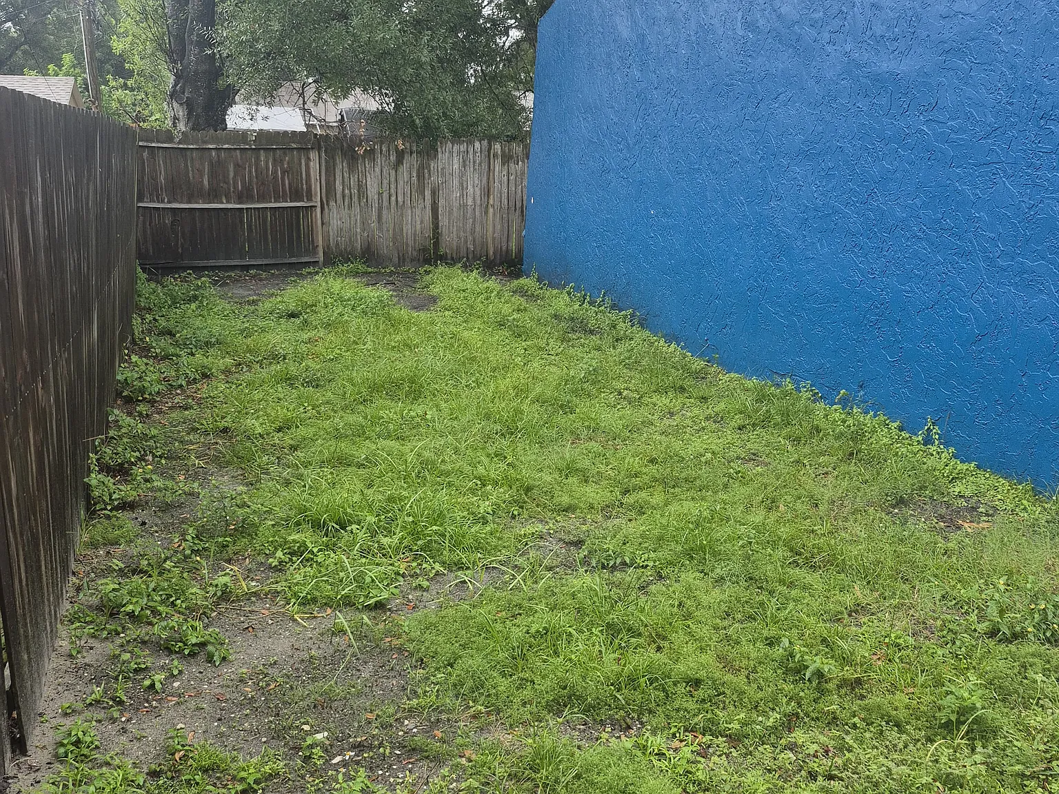 3651 135th Ave — Photo 3