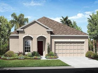 10409 Flagstaff Falls Ave, Riverview, FL 33578