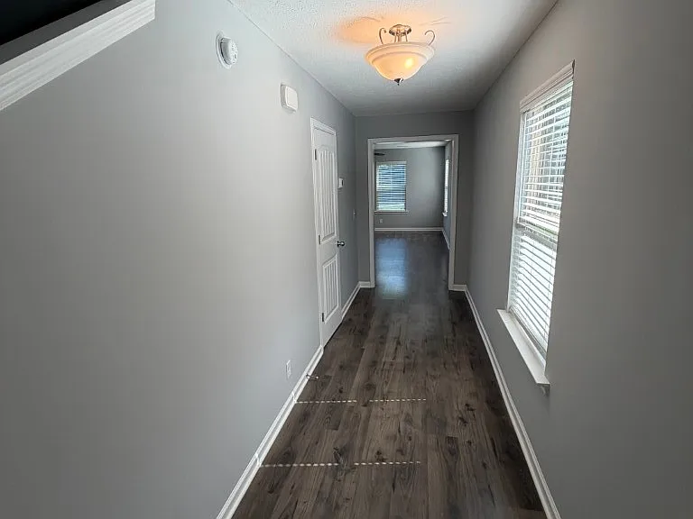 4342 Brogli Dr — Photo 2