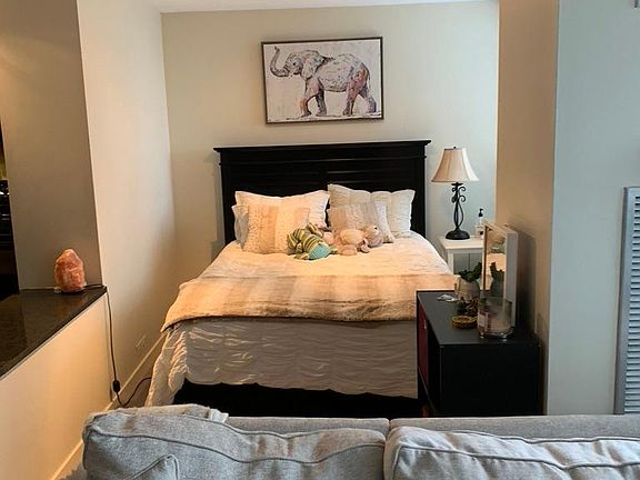 5th image of 405 N Wabash Ave Unit 2405