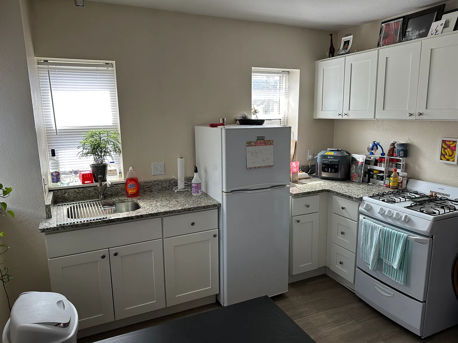 1 bed, 565 sqft, $1,195 — Photo 4