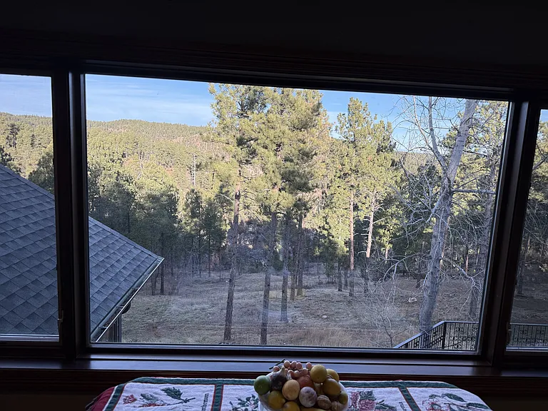 13646 Twisted Pines Trl #1 — Photo 14
