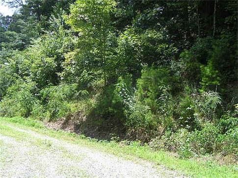 2nd image of Gnatty Branch Rd