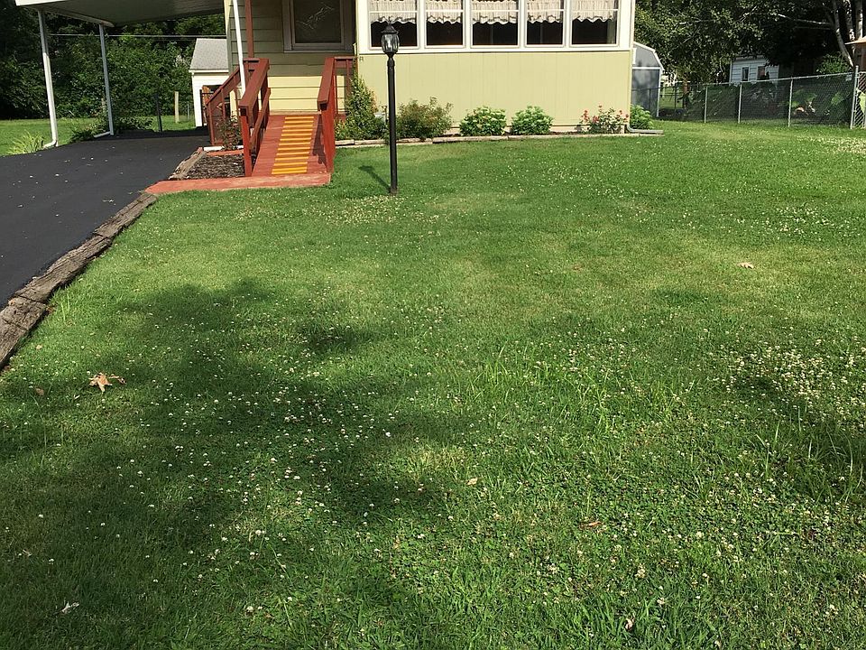 Front yard