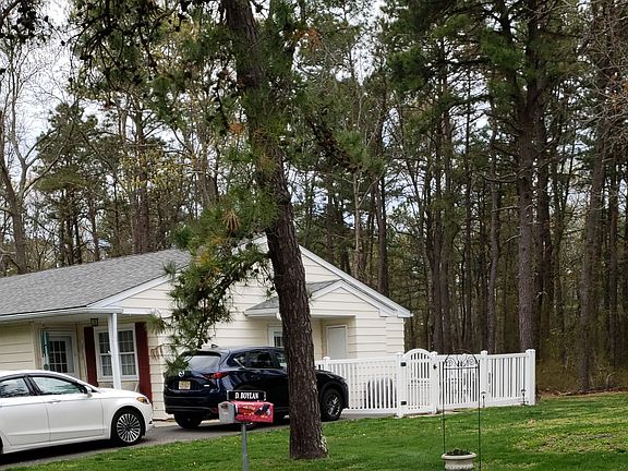 Private back yard