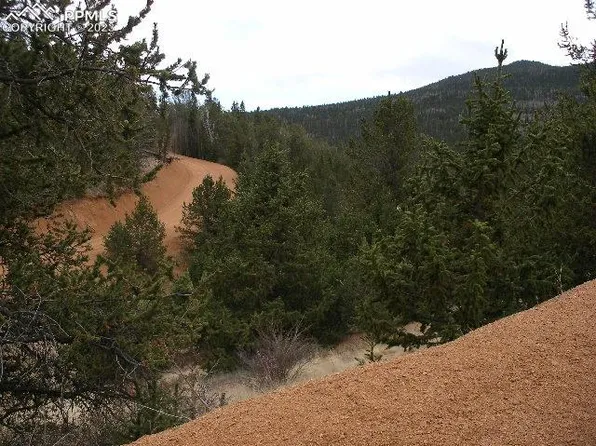 325 Brown Bear Dr, Cripple Creek, CO 80813