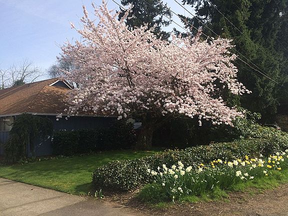 5th image of 11012 SE Wood Ave