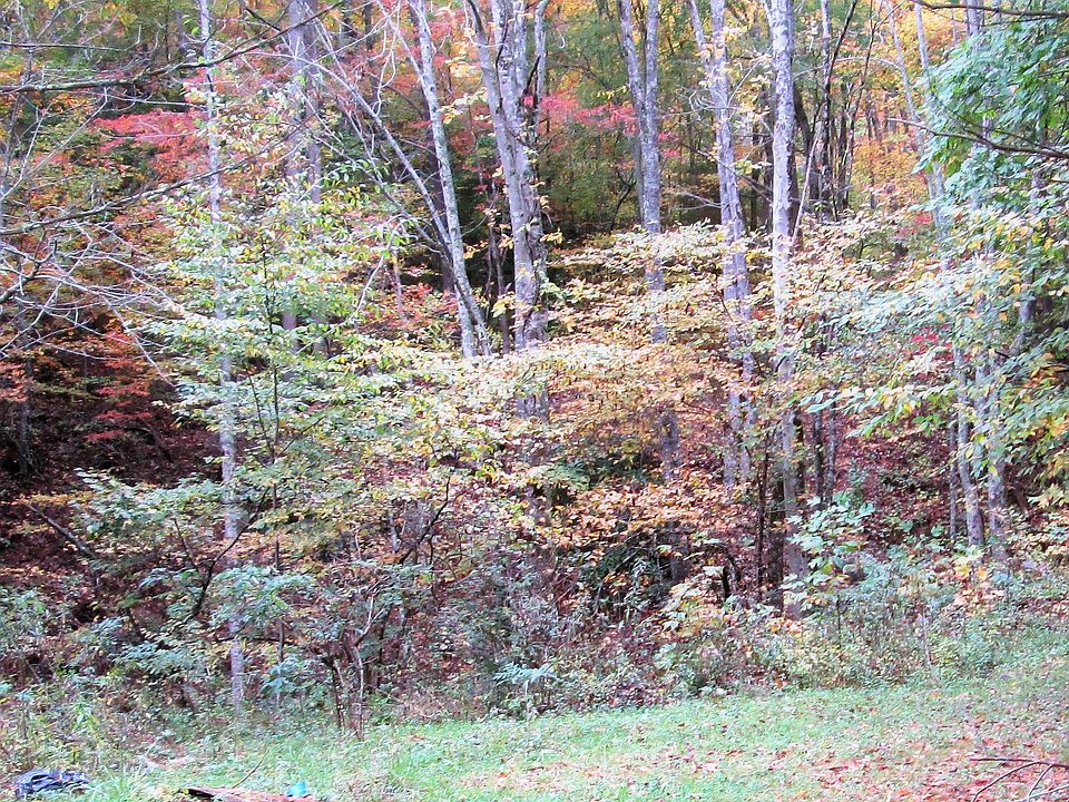 Lush woods/clearings/views