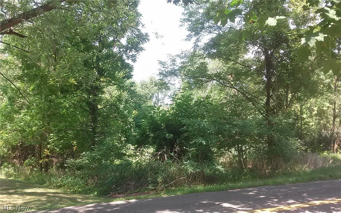 Mogadore Rd photo 1