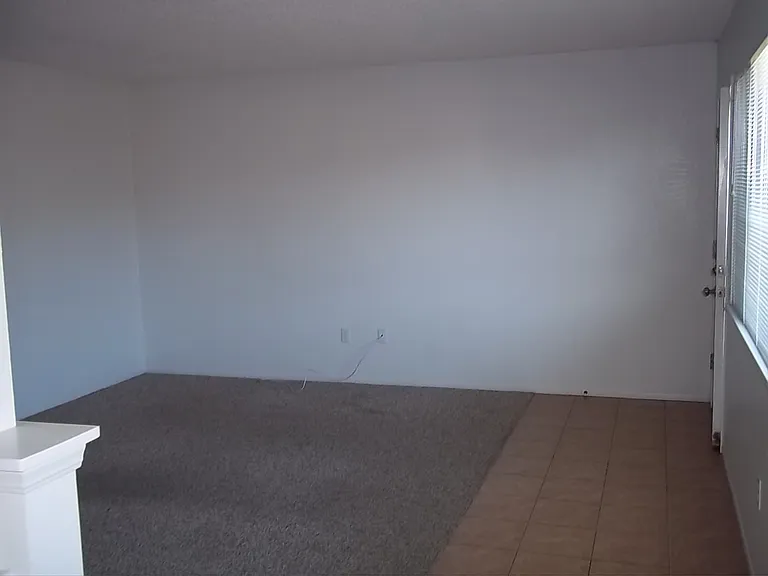 228 Spruce St #B — Photo 3