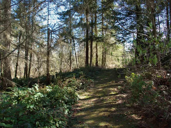 S Bagley Creek Rd, Pt Angeles, WA 98362