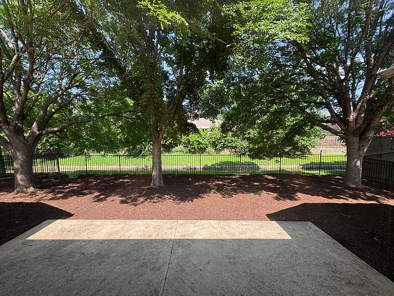 Backyard view - lots of privacy