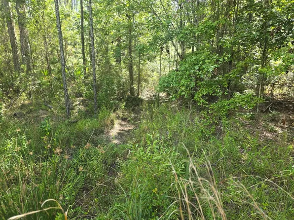 69 Magnolia Plantation, White Oak, GA 31568