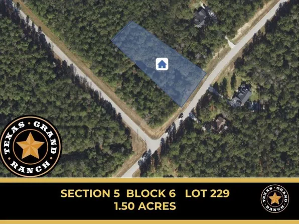5-6-229 Dipping Vat Rd Lot 229, Huntsville, TX 77340