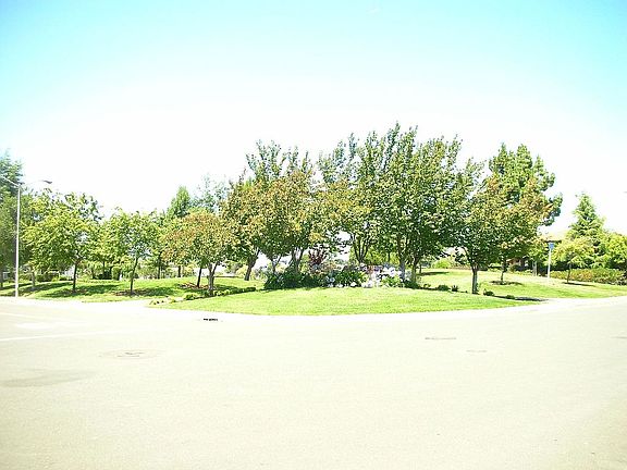 Contempo Park view