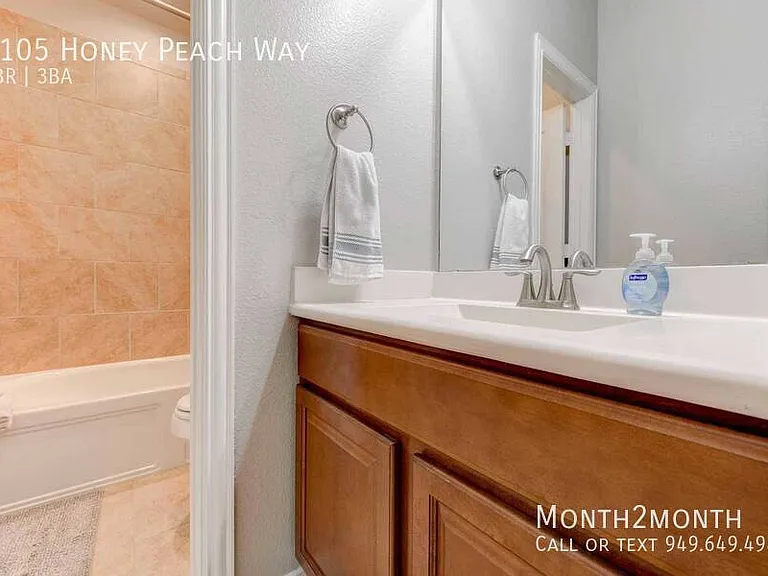 3105 Honey Peach Way — Photo 24