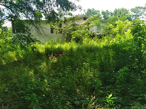 BEFORE - we started reclaiming