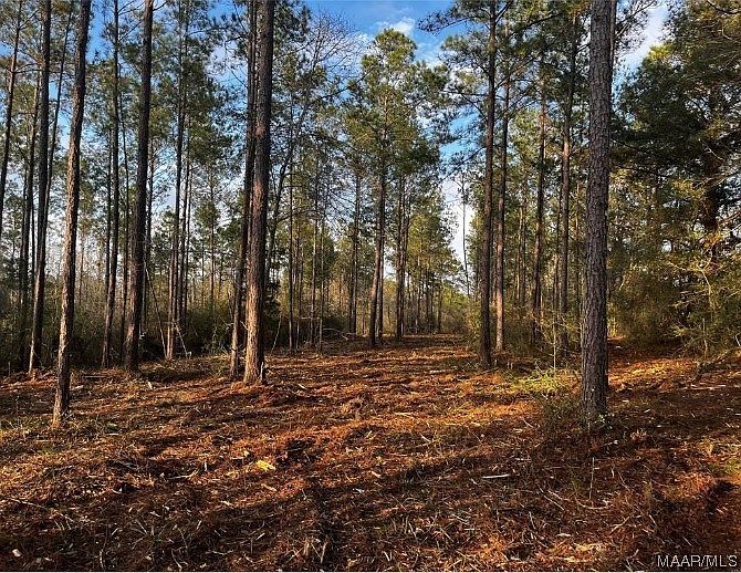LOT 4A County Road 651, Coffee Springs, AL 36318 MLS 534966 Zillow