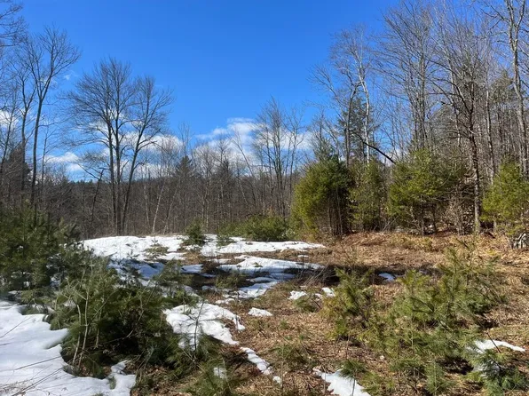 00 Pratt Bridge Road, Jamaica, VT 05143