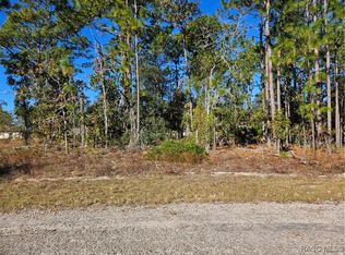 1919 W Wavecrest Dr, Citrus Springs, FL 34434