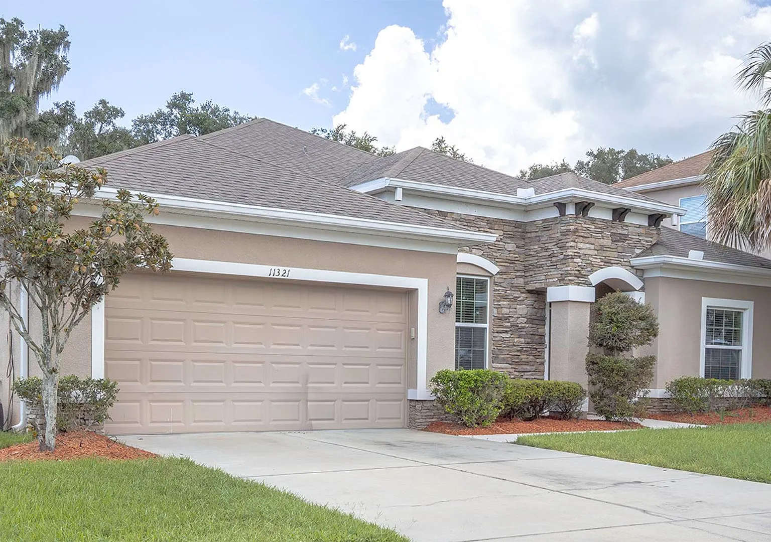 Paradise in Lithia — Photo 2