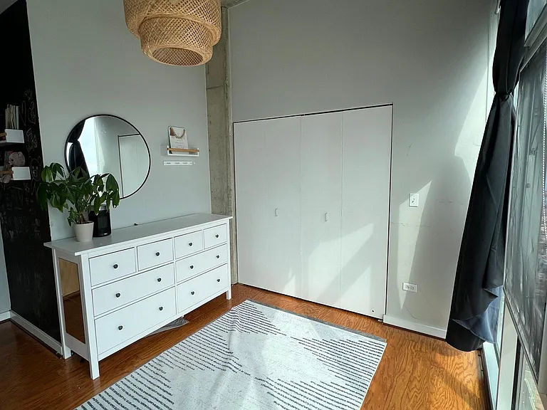 1720 S Michigan Ave #3210 — Photo 6