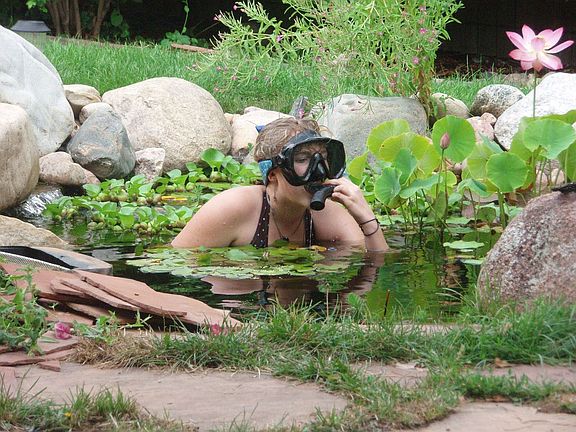 Fun in the Pond