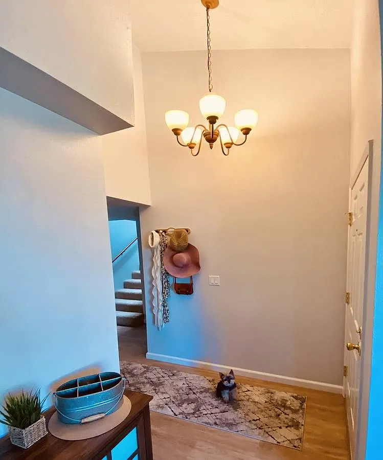 691 Palomino Dr — Photo 4